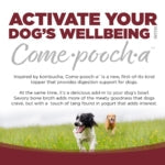 NutriSource Come Pooch-A Broth Beef Recipe Dog Food