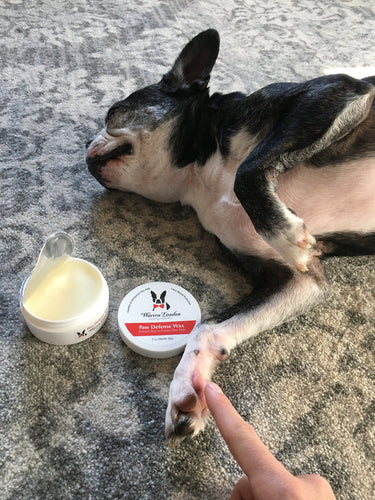 Warren London Paw Defense Wax Soothes Moisturizes and Protects Dog's Paw Pads
