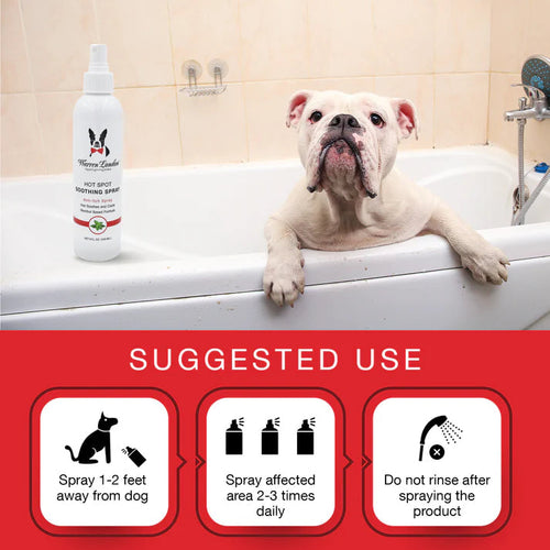 Warren London Hot Spot Soothing Spray - Anti Itch Spray That Soothes And Cools