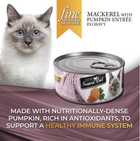 Fussie Cat Fine Dining - Mousse Mackerel with Pumpkin Entree in Gravy Canned Cat Food
