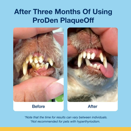 Proden PlaqueOff Scoopables Cat Cat Dental Treat