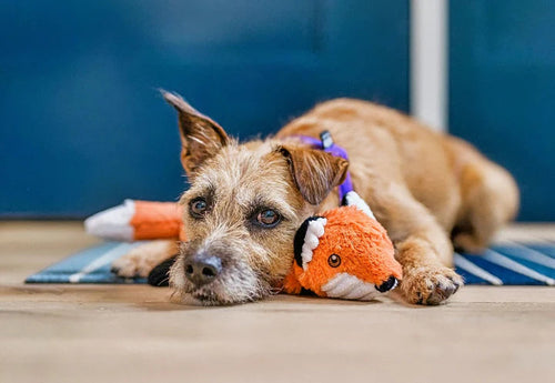 P.L.A.Y. Forest Friends Forest the Fox Dog Toy
