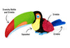 P.L.A.Y. Fetching Flock Tito the Toucan Dog Toy