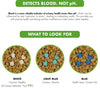 World's Best Introducing Health Check-In™ Boosters™