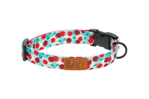 RC Pet Eco Clip Collar for Dogs