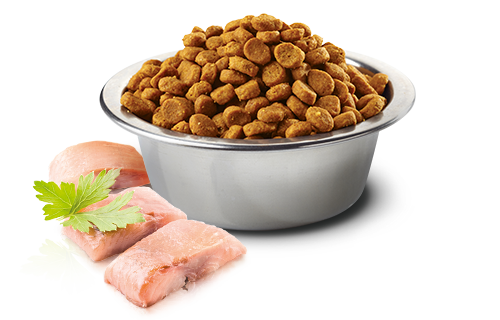 Farmina N&D Ocean Canine Herring & Orange Adult Mini Dry Dog Food