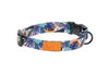 RC Pet Eco Clip Collar for Dogs