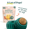 Woof Balanced Belly Pupsicle Mix