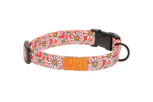 RC Pet Eco Clip Collar for Dogs