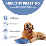 Outward Hound Fun Feeder Slo Bowl, Slow Feeder Dog Bowl