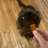 Stashios Wrap-Ups® Pill Wrapper Bacon Cheeseburger