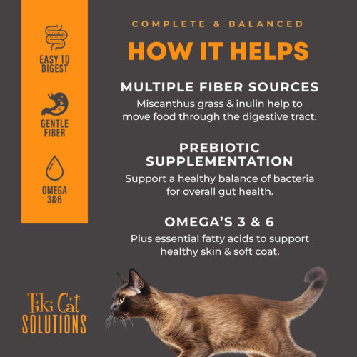 Tiki Cat® Solutions™ Digestion Baked Kibble: Lamb & Egg Recipe Dry Cat Food