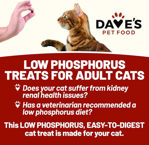 Dave's Pet Food Dave's Kidney-Friendly Semi-Moist Cat Treats /3oz