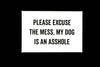 Please Excuse The Mess White Magnet