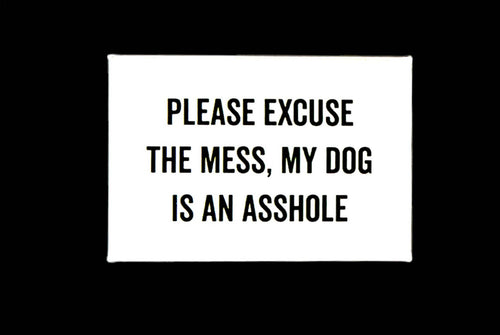 Please Excuse The Mess White Magnet
