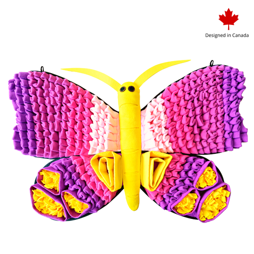 Radiant Butterfly™ Snuffle Mat | Challenge Level 3