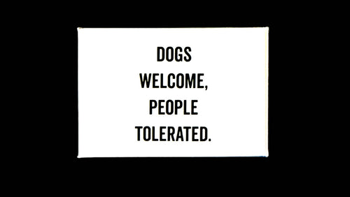 Dogs Welcome White Magnet